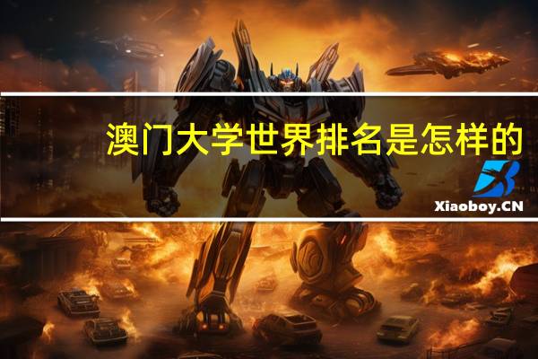 澳门大学世界排名是怎样的