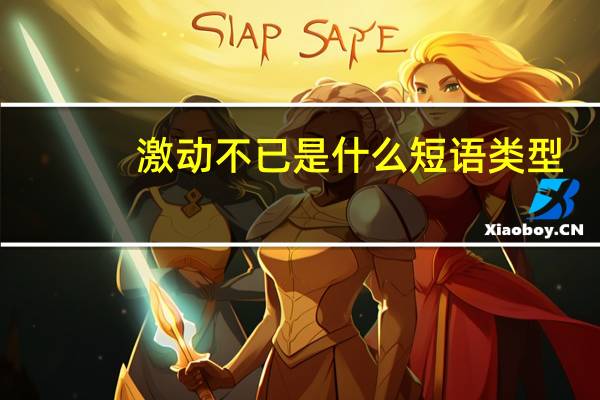 激动不已是什么短语类型