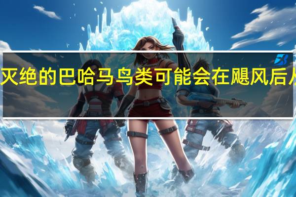 濒临灭绝的巴哈马鸟类可能会在飓风后从岛上消失