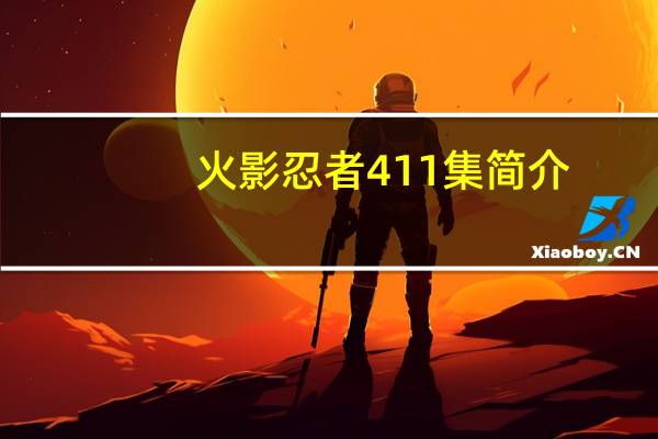 火影忍者411集简介（火影忍者411集）