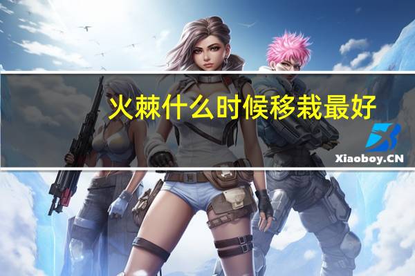 火棘什么时候移栽最好