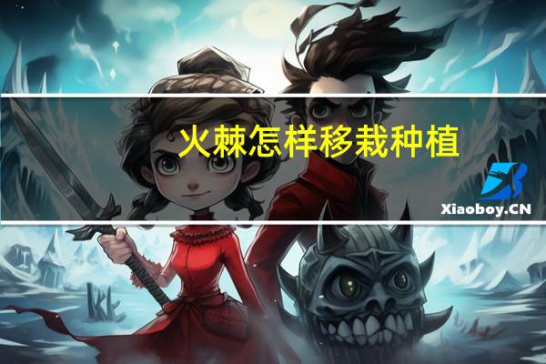 火棘怎样移栽种植