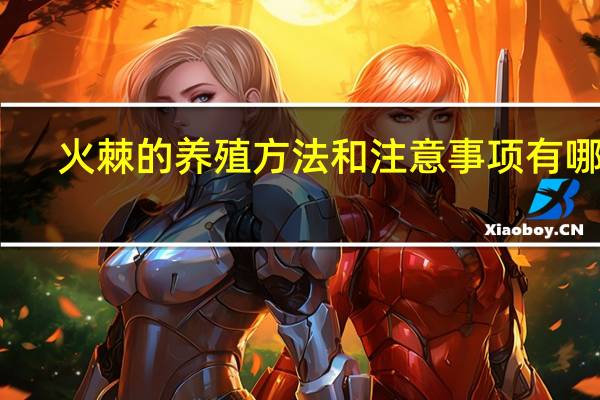 火棘的养殖方法和注意事项有哪些