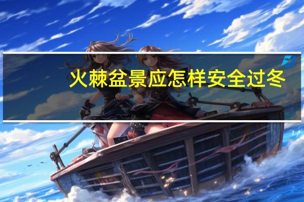 火棘盆景应怎样安全过冬