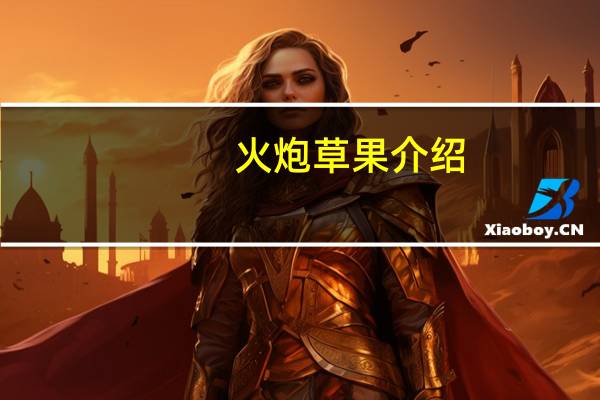 火炮草果介绍