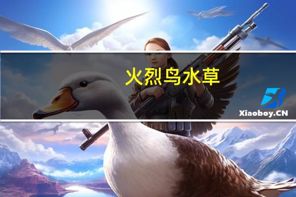 火烈鸟水草