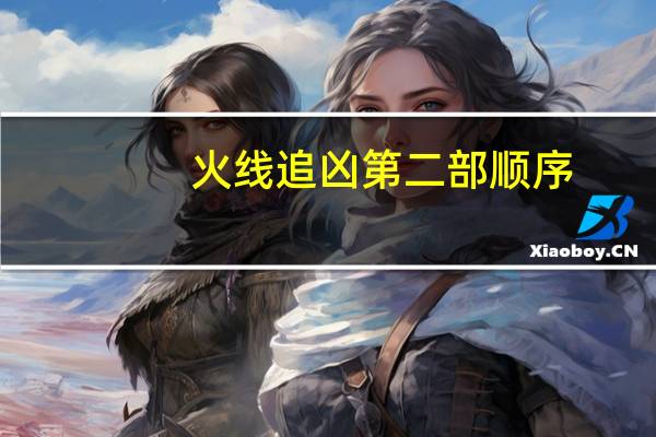 火线追凶第二部顺序（火线追凶2全集顺序）