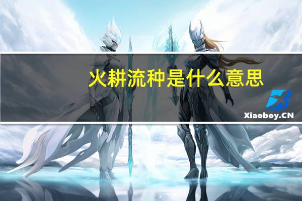 火耕流种是什么意思