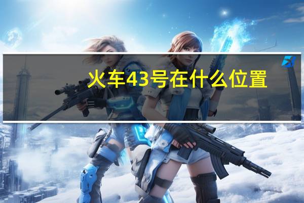 火车43号在什么位置