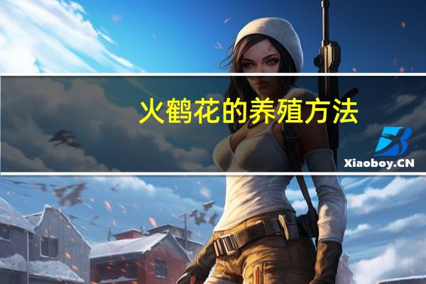 火鹤花的养殖方法：火鹤花容易烂叶子