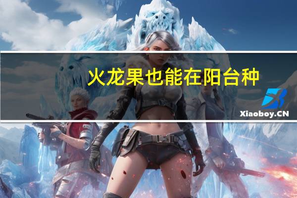 火龙果也能在阳台种