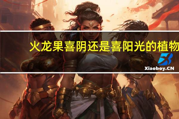 火龙果喜阴还是喜阳光的植物