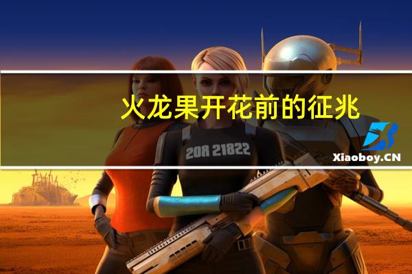 火龙果开花前的征兆