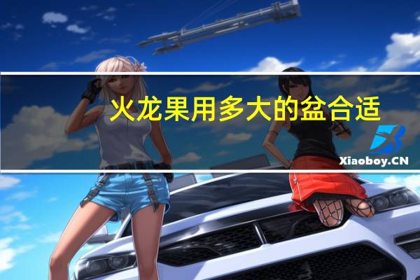 火龙果用多大的盆合适