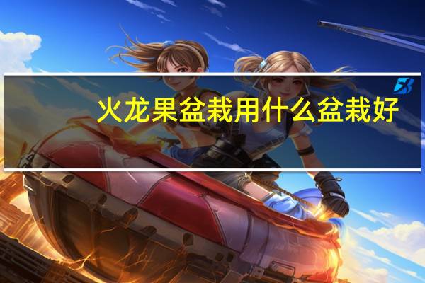 火龙果盆栽用什么盆栽好