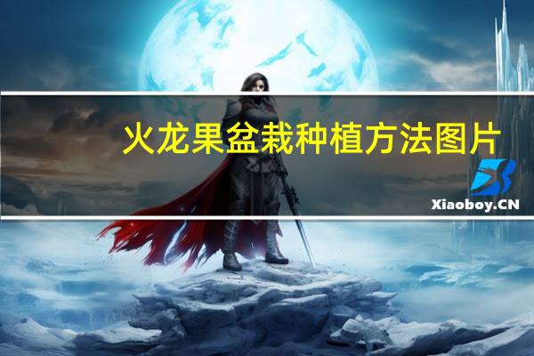 火龙果盆栽种植方法图片（火龙果盆栽种植方法图解）