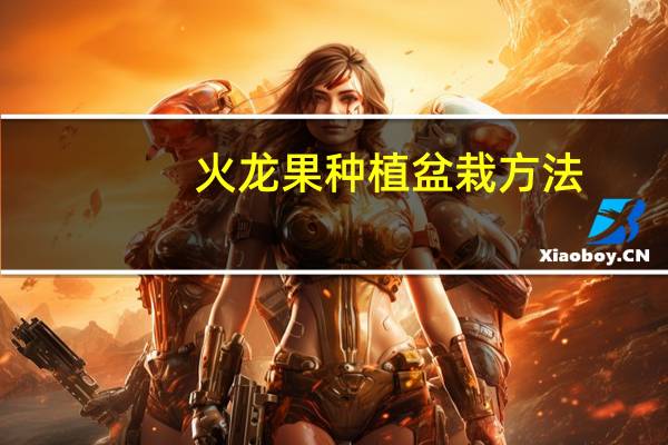 火龙果种植盆栽方法