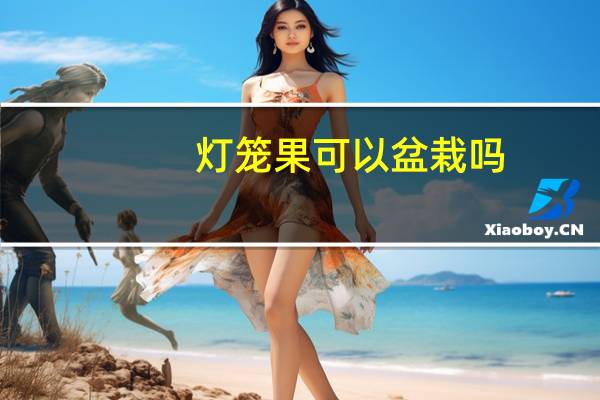 灯笼果可以盆栽吗
