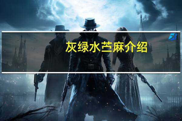 灰绿水苎麻介绍