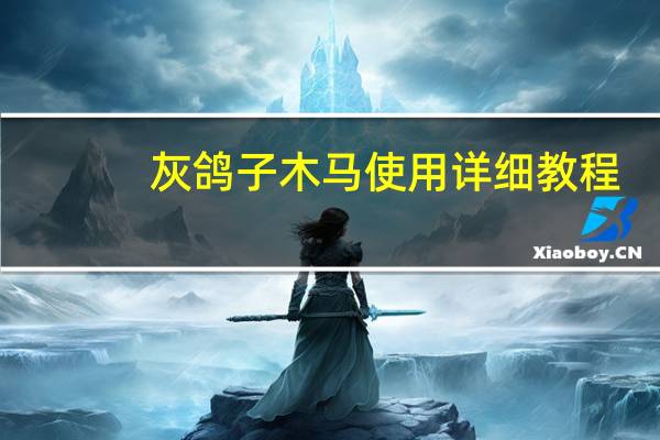灰鸽子木马使用详细教程(灰鸽子木马)
