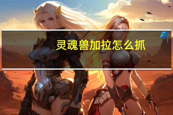 灵魂兽加拉怎么抓（灵魂兽加拉）