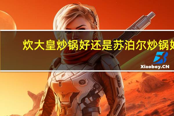 炊大皇炒锅好还是苏泊尔炒锅好