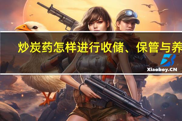 炒炭药怎样进行收储、保管与养护