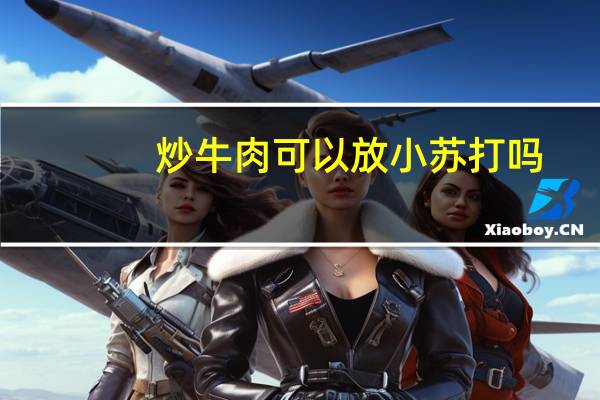 炒牛肉可以放小苏打吗
