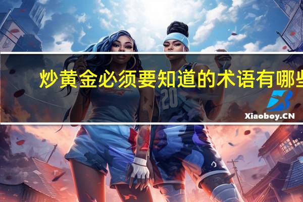 炒黄金必须要知道的术语有哪些