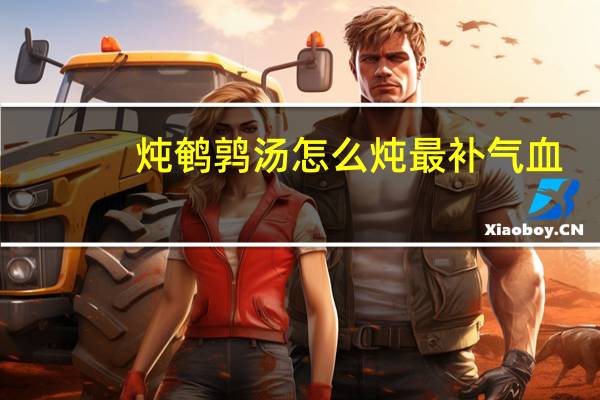 炖鹌鹑汤怎么炖最补气血