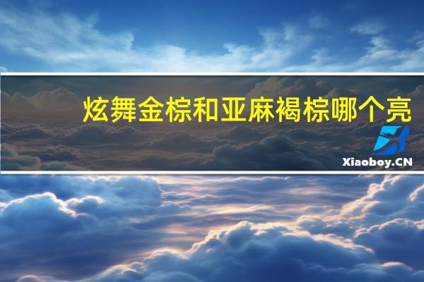 炫舞金棕和亚麻褐棕哪个亮