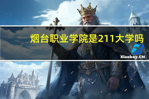 烟台职业学院是211大学吗