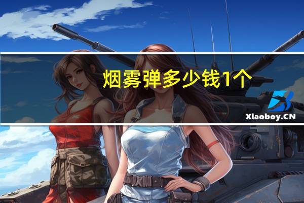 烟雾弹多少钱1个（烟雾弹多少钱一个）