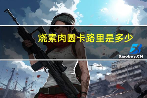 烧素肉圆卡路里是多少