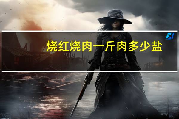 烧红烧肉一斤肉多少盐