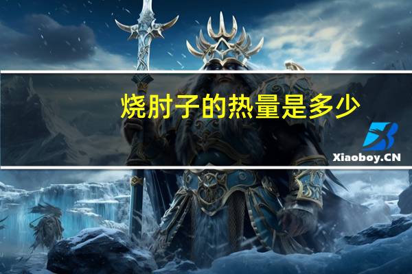 烧肘子的热量是多少