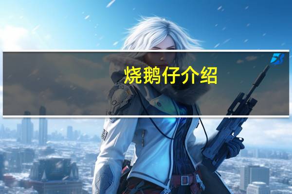 烧鹅仔介绍