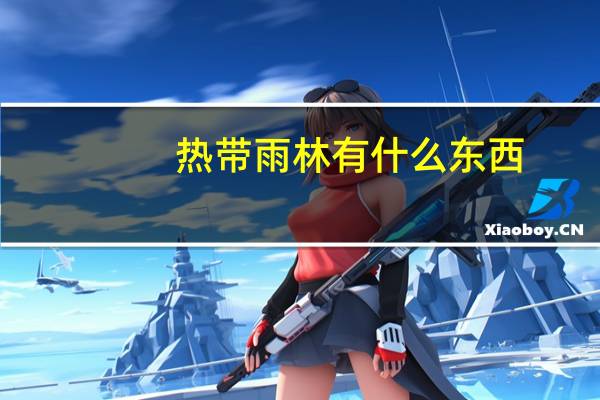 热带雨林有什么东西