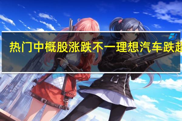 热门中概股涨跌不一 理想汽车跌超2%