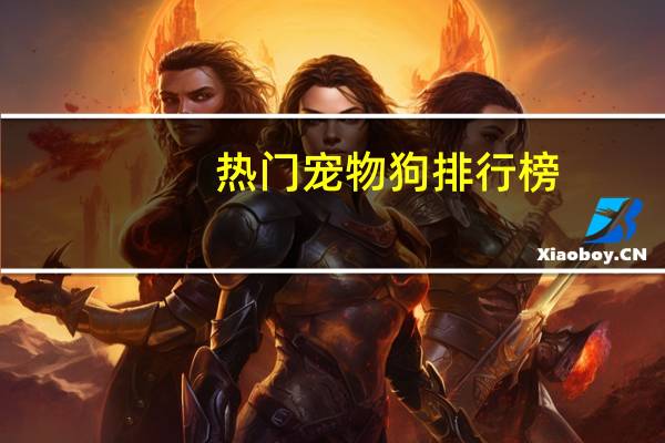 热门宠物狗排行榜