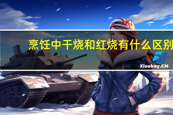 烹饪中干烧和红烧有什么区别