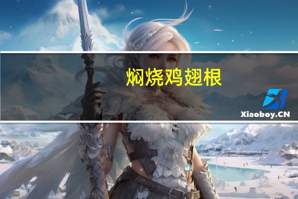 焖烧鸡翅根