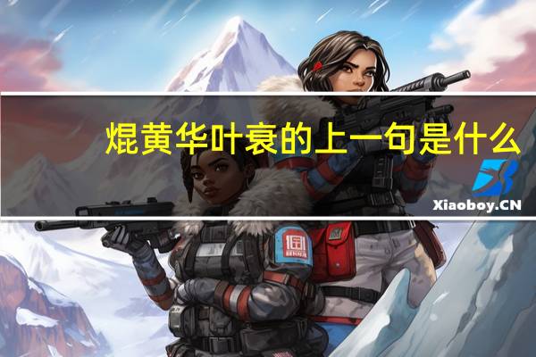 焜黄华叶衰的上一句是什么