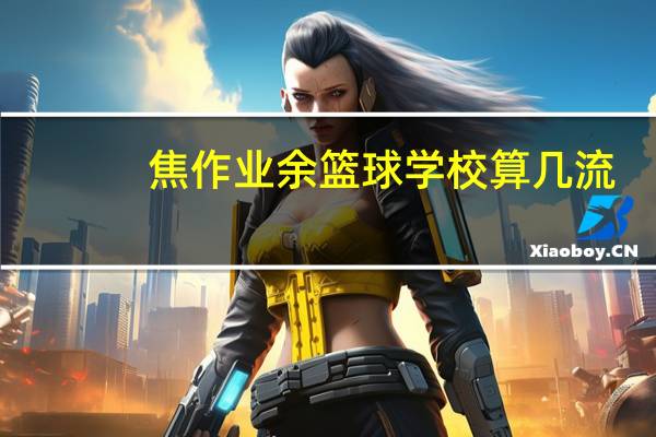 焦作业余篮球学校算几流