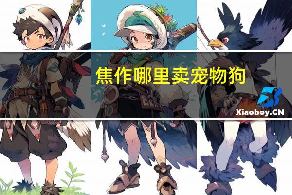 焦作哪里卖宠物狗