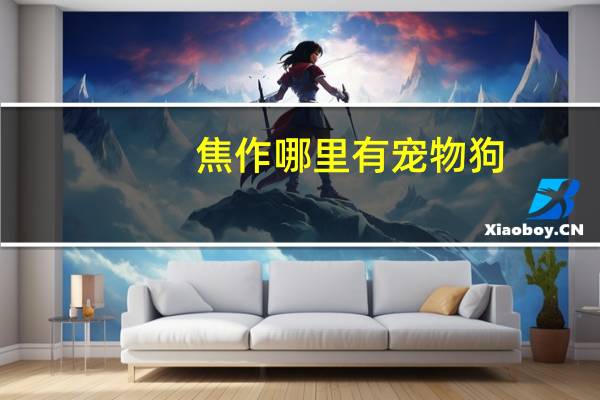 焦作哪里有宠物狗