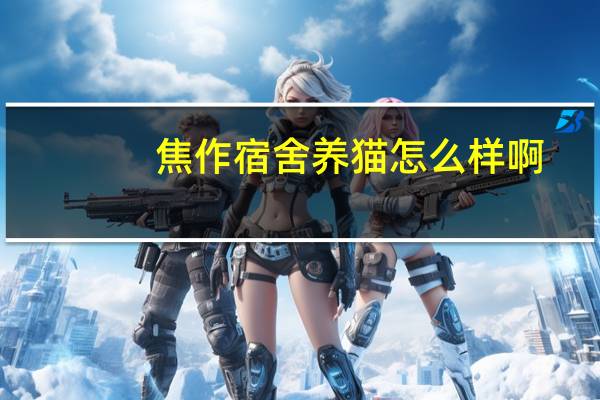 焦作宿舍养猫怎么样啊