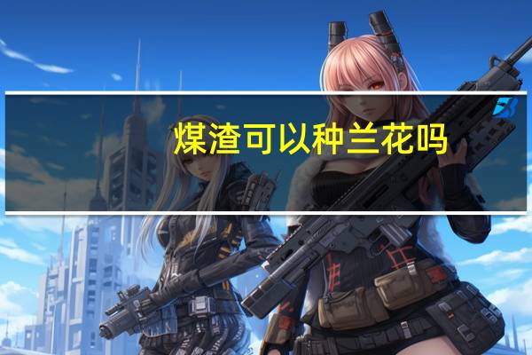 煤渣可以种兰花吗