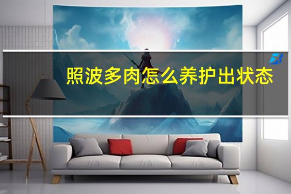照波多肉怎么养护出状态