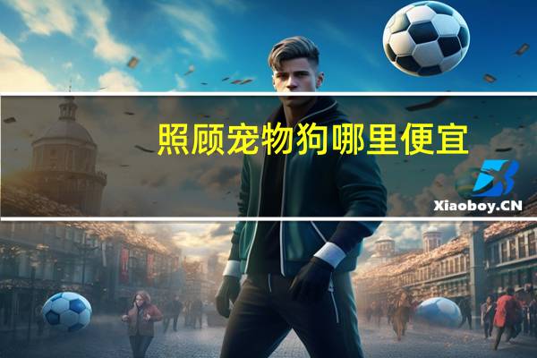 照顾宠物狗哪里便宜